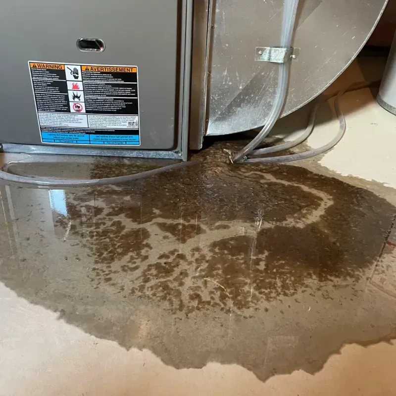 Appliance Leak Cleanup in Hainesville, IL